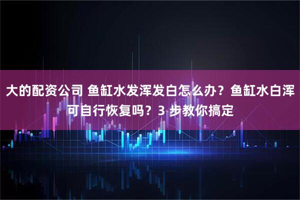 大的配资公司 鱼缸水发浑发白怎么办？鱼缸水白浑可自行恢复吗？3 步教你搞定