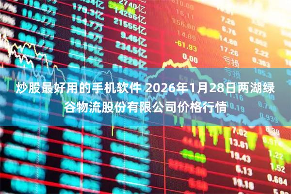 炒股最好用的手机软件 2026年1月28日两湖绿谷物流股份有限公司价格行情
