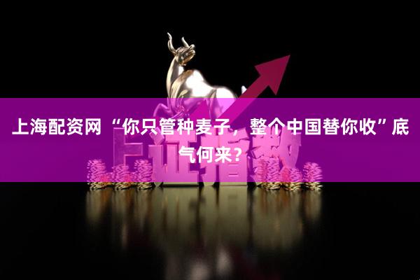 上海配资网 “你只管种麦子，整个中国替你收”底气何来？