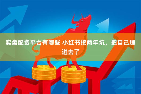实盘配资平台有哪些 小红书挖两年坑,把自己埋进去了